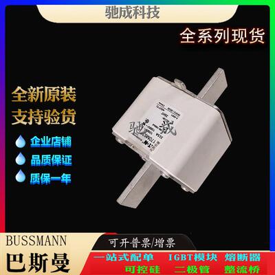 巴斯曼170M6299 170M6301 170M6303 长期销售价优 低压熔断器