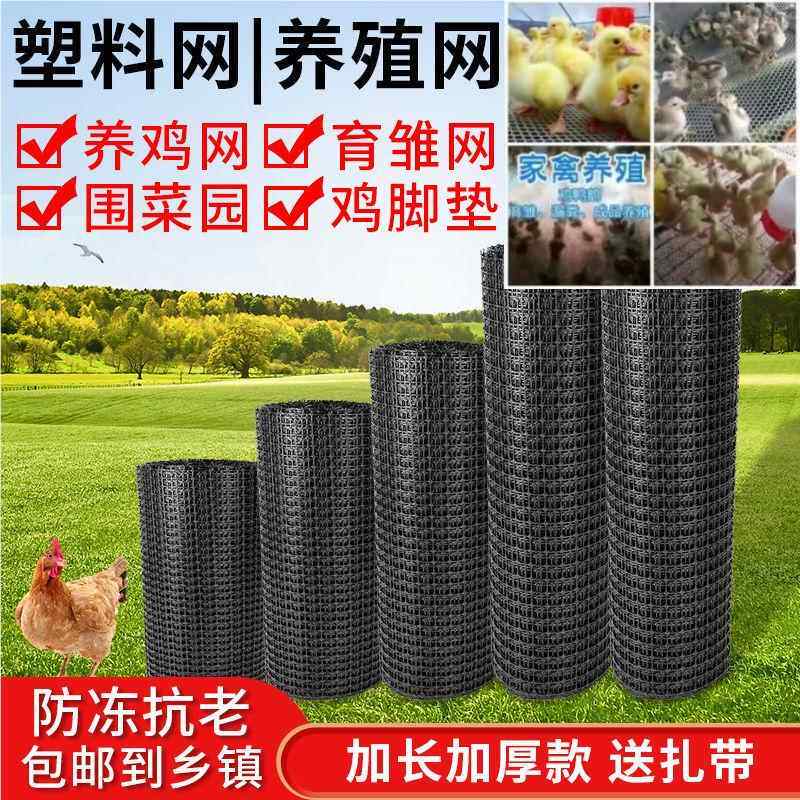 格网围网鸡鸭塑网养殖果园料菜园塑料围网栏家用玉米网阳台方9714
