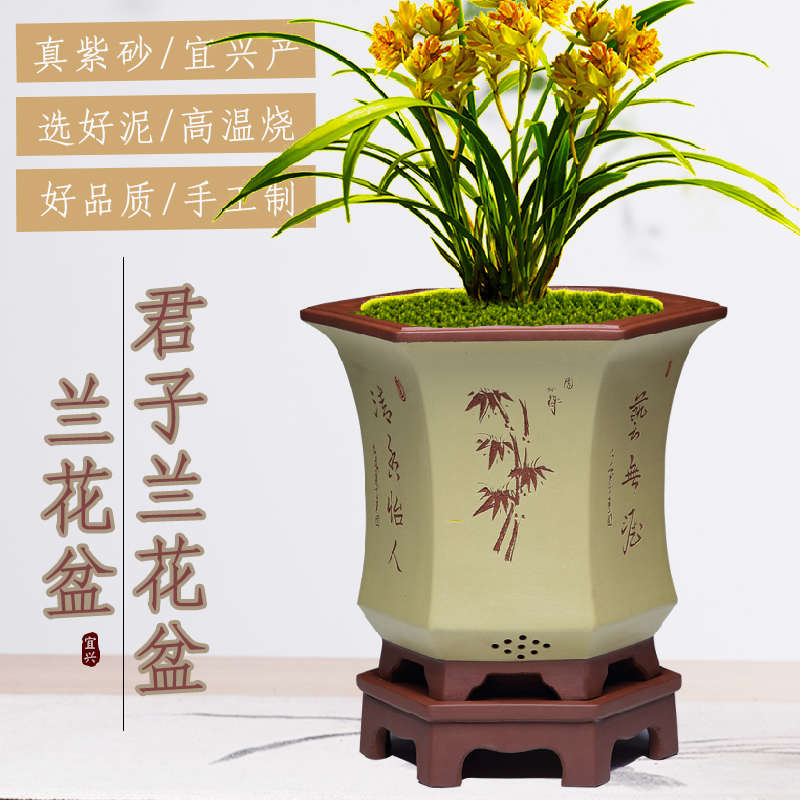 兰花盆室内紫砂六角花盆陶瓷大号君子兰蕙兰兰花盆六方盆
