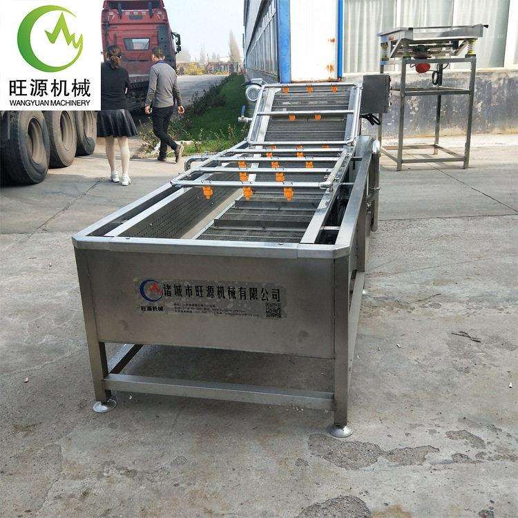 杏鲍备菇气浴气泡清洗机?去泥沙洗菜器设香芽椿MAGA-102芽机豌豆