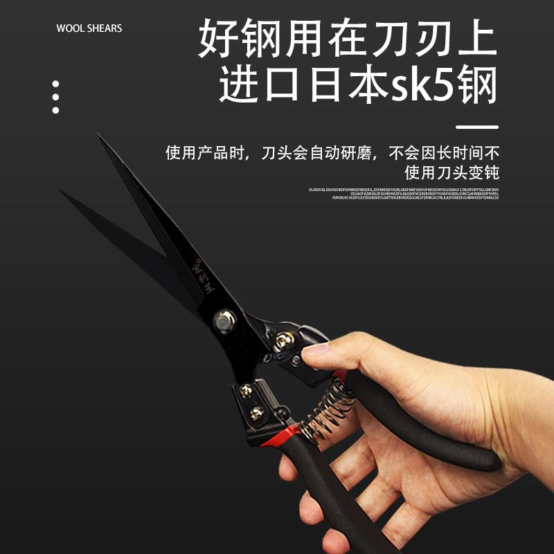 宏利星专业羊毛大剪刀宠物狗兔子牦牛修毛剪子SK5钢手动弹簧剪刀图片