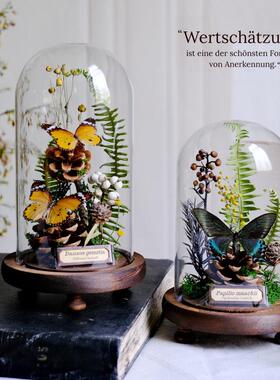 玻璃罩蝴蝶标本植物永生花干 干燥花摆件昆虫动物生态微景观礼物