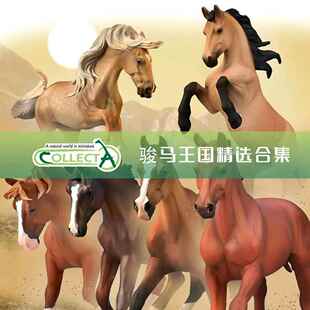 英国CollectA仿真动物模型公马母马玩具