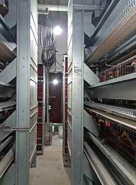 自大鸡层叠蛋鸡养LOC笼养殖鸡笼镀锌蛋鸡笼层叠式机械动清粪养设