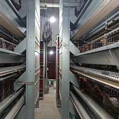 自大鸡层叠蛋鸡养LOC笼养殖鸡笼镀锌蛋鸡笼层叠式机械动清粪养设