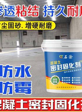 墙固界面剂固化剂固沙剂固沙宝水泥路面混凝土地面起砂反沙界面剂