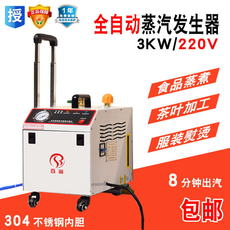 商用小型蒸汽清洁机家用清洗机工业高温高压蒸汽消毒机蒸汽发生器