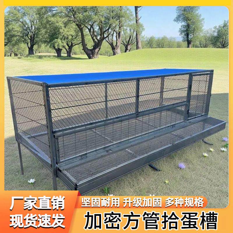 鸡笼子室外防生锈家用养殖笼滚蛋收蛋防黄鼠狼大号防雨养鸡笼鸡舍