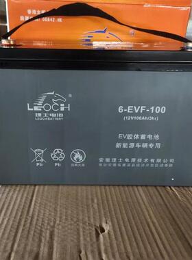 理士胶体蓄电池6-EVF-100 12V100AH电动车电池新能源车观光车堆高