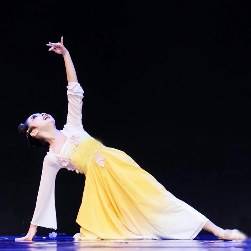 正品儿童扇古典服舞演出大桃李杯嬉闹舞蹈服裙摆表演服女剧目服装