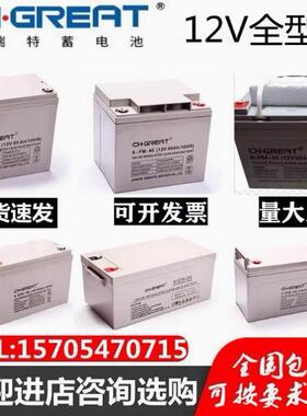 CH.GREAT格瑞特蓄电池6-FM/GFM7A12A20A24A40A55A65A100AH直流屏