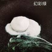 pet金闪批发金注塑粉金葱高粉光 亮片粉幻彩 葱葱工艺品美甲粉