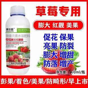 草莓专用拉长素膨大素 草莓膨大剂亮果不裂果保花保果草莓保效灵