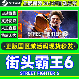 steam街头霸王6街霸6streetfighter6国区激活码，cdkey游戏