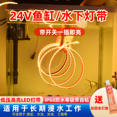 24v古法养鱼鱼缸灯led灯防水12v水池鱼缸专用自粘水下低压灯带条