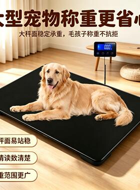 精准宠物秤宠物店专用称医院电子秤猫咪狗狗称重器大型宠物体重秤