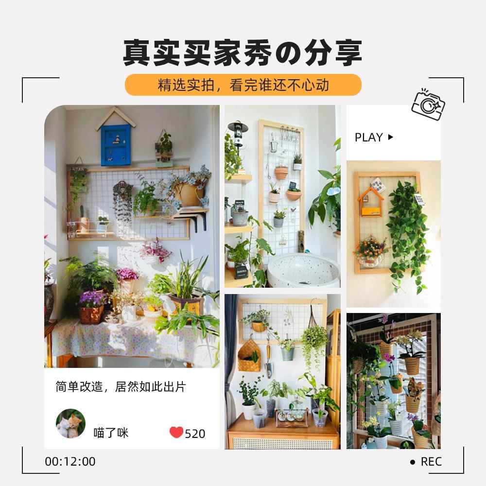 品阳台墙面式架网格壁挂绿wghj新植架实木悬挂置花物架铁艺室内花