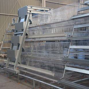 大型阶梯式 加料机鸡笼具鸡舍养殖场用全套养鸡设备 蛋鸡笼背负式