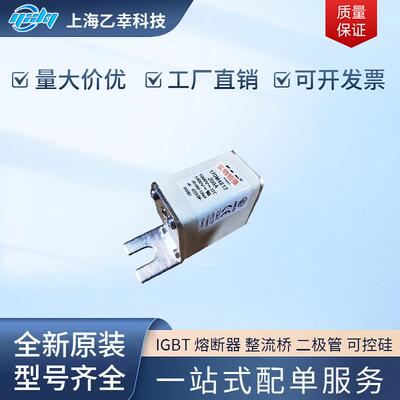 巴斯曼熔断器 170M4810 170M4811 170M4812 170M4813 170M4814