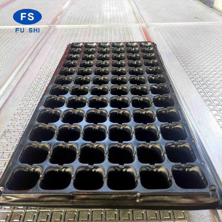 大厂出售苗盘吸塑机全自动蔬菜育苗盘设备水稻秧苗盘机CE认证