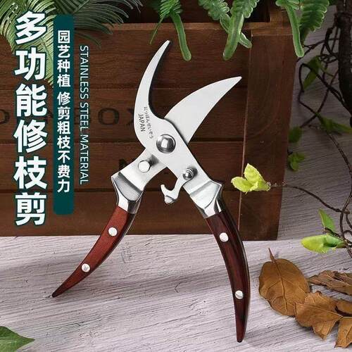 进口全钢红木柄家用修枝剪园艺省力花艺园林果树修剪树枝修花剪刀