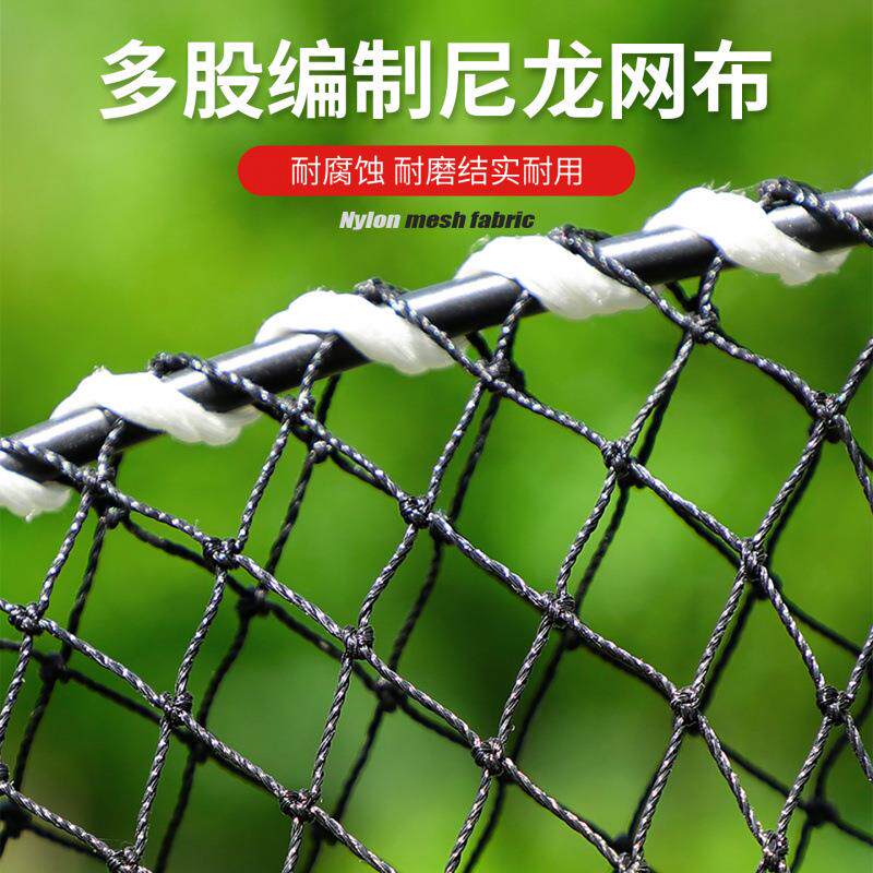 螃蟹笼海用可折叠蟹笼加粗加重弹簧笼子海边捕蟹网蟹笼海用抓螃蟹