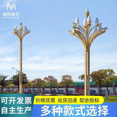 市政工程八叉九火玉兰灯广场景区主干道led中华灯户外大型景观灯