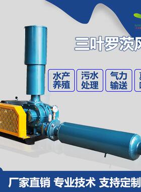 5.5kw100型号DN80大型三叶罗茨风机氧化池增曝气污水处理用鼓风机