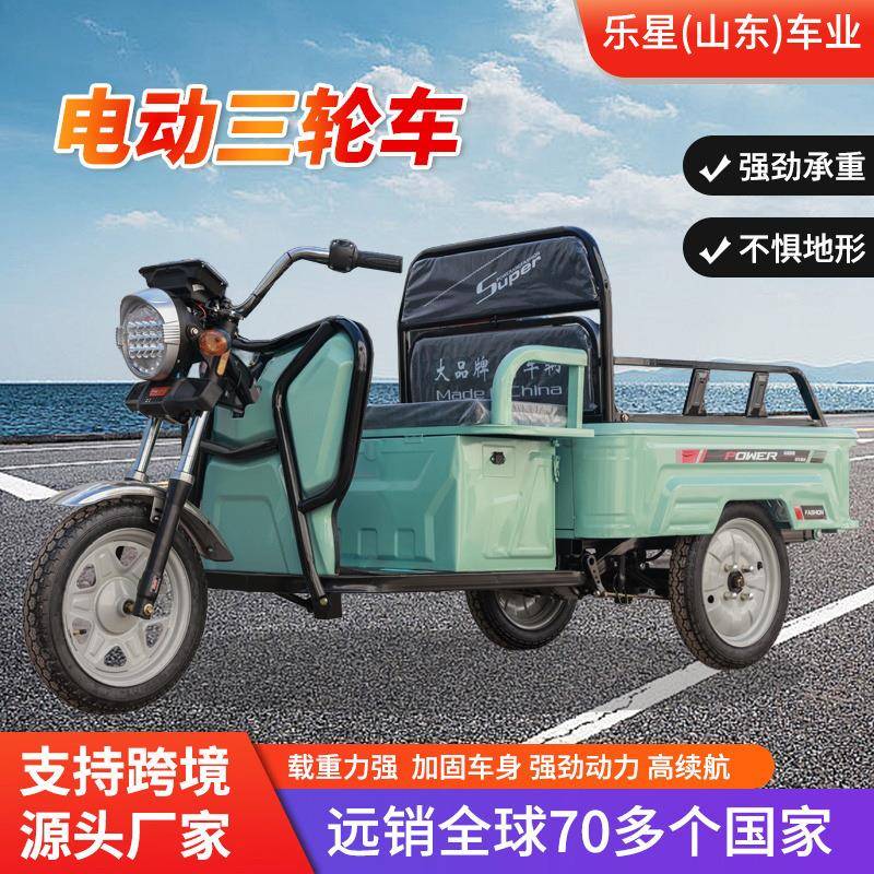 出口外贸三轮电动车载货载人家用老人代步拉货客平板电动三轮车