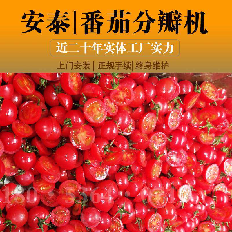 小番茄破瓣机番茄酱前处理设备圣女果小柿子加工全套设备诸城