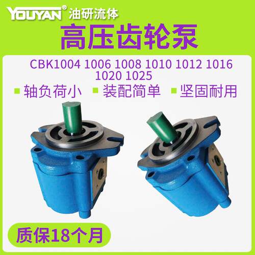 A1FL高压B1FR齿轮泵CBK1004/1006/1008/1010/1012/1016/1020/1025