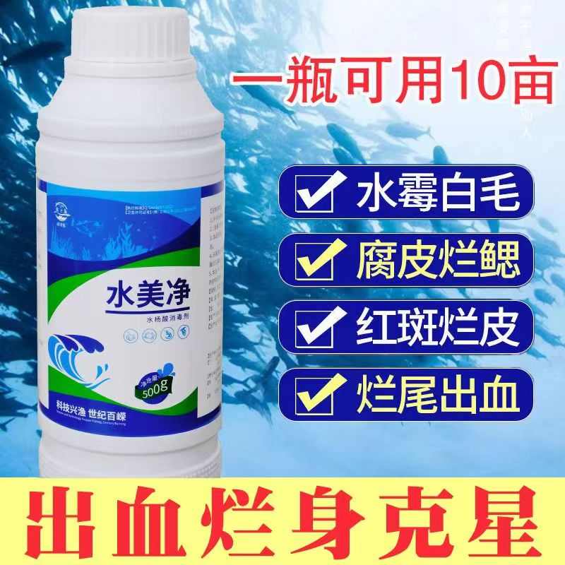 出血身水百鱼塘烂水产消毒剂水杨酸皮净水霉病美养殖专用白毛腐嵘