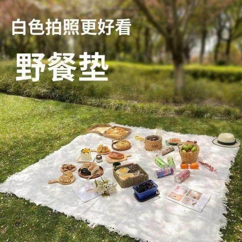 春游垫子野餐垫加厚户外露营地垫野餐布草坪沙滩防水垫拍照道具