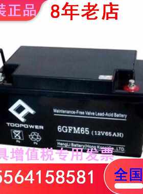 TOOPOWER天力蓄电池6GFM65通讯基站设备电源 消防主机12V65AH UPS