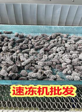 全自机动螺旋速冻机 肉一多用 食鸡鸭猪牛羊740海鲜面快速锁鲜冷