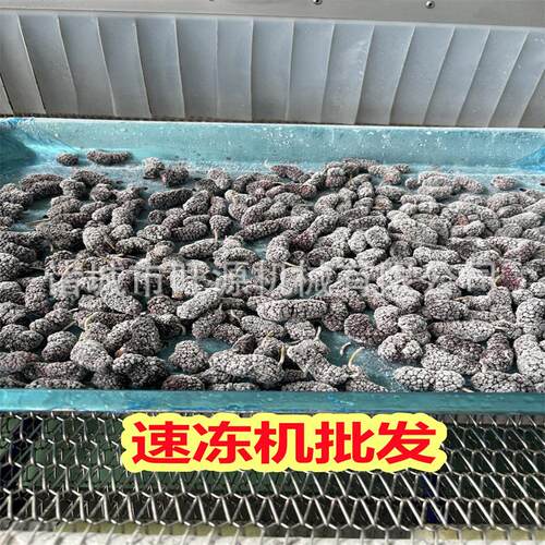 旺源牛筋丸速冻机果蔬流态化冷冻线小型冷冻加工生产设备