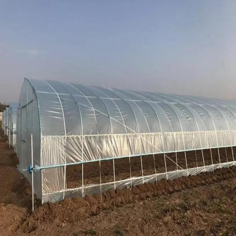 温室大棚骨架全套钢管家用农用大棚种植养殖蔬菜猪鸡鸭舍大棚