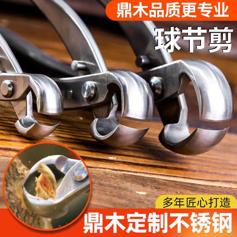 鼎木 不锈钢 盆景球节剪球钳盆栽树瘤修剪钳园艺制作造型养护工具