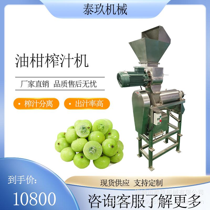 油柑破碎榨汁机油柑加工设备菠菜浆渣分离机水果皮渣脱水压榨机