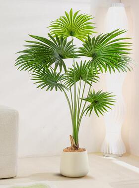 仿生绿植高端轻奢加州蒲葵盆栽室内客厅大型落地装饰扇葵摆件造景
