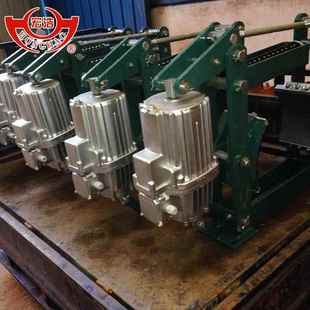 制动器起重机行走抱闸制动器 50电力液压鼓式 国标YWZ5 300