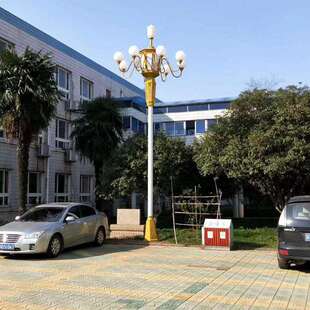 八叉九火LED玉兰灯中华灯市政工程中山玉兰灯厂家16米市电路灯60W
