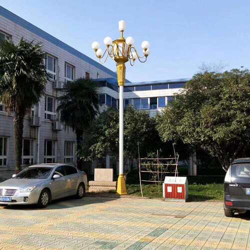 八叉九火LED玉兰灯中华灯市政工程中山玉兰灯厂家16米市电路灯60W
