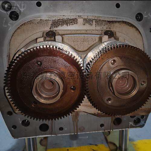 莱宝DV450 DV650维修 提供质保 专注于真空泵的维修与保养