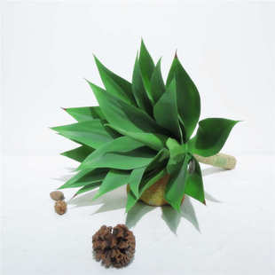 特大龙舌兰 哈派龙舌兰仿真花批发仿真花植物墙装饰绿植