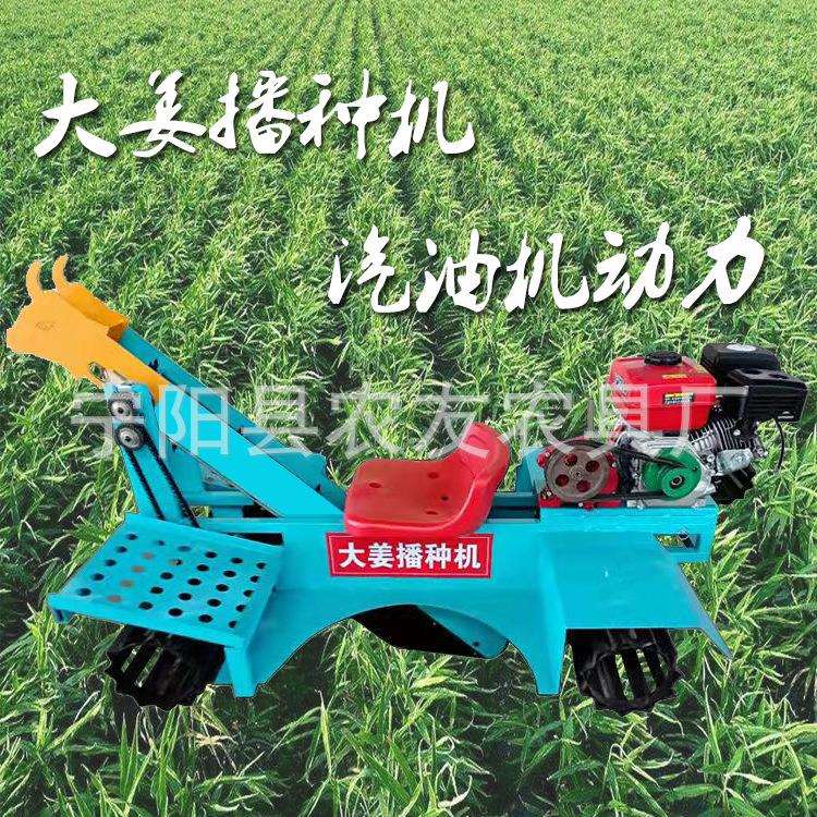 大姜播种机农用生姜种植机汽油老姜播种机生姜播种机栽种机