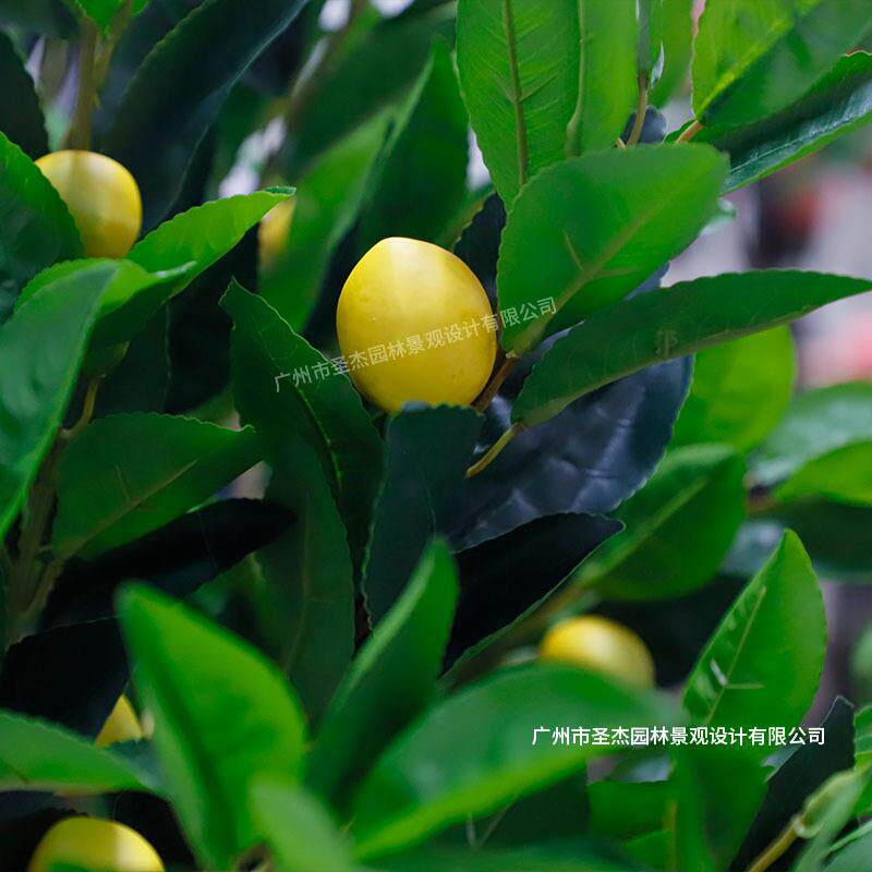 仿真柠檬树 带果绿植软装饰造景室内盆景 北欧风落地摆件假树植物