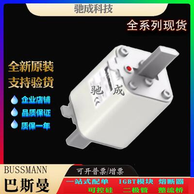 巴斯曼170M4176 170M4177 170M4178 厂家原装厂价直供 快速熔断器