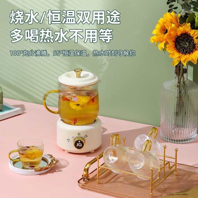 迷你花茶壶多功能养生壶家用小型办公室烧水壶加厚玻璃煮茶器配件