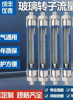G10-15F气体浮子玻璃转子流量计接液材质304管道螺纹接头G1内丝